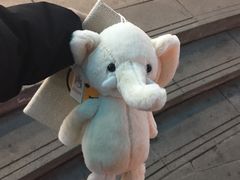 -重庆巫山烤鱼(德化街店)