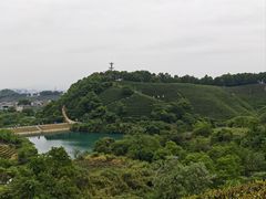 -龙坞茶村