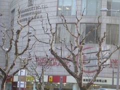 -上海明天广场JW万豪酒店