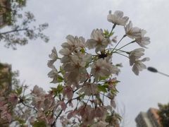 -武昌江滩