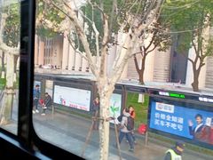 -BUS TOUR观光巴士