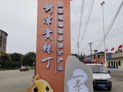 -彭大姐老店黄辣丁(新津店)