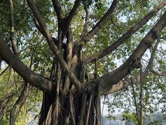 -南宁南湖公园
