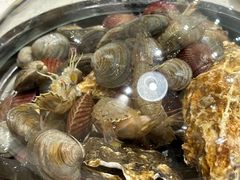 -前王院•巧克力海鲜市集餐厅(万平口店)