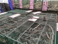 -荔城生鲜盛宴(番禺旗舰店)