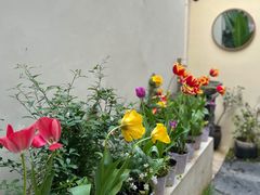 -奈诺甜品·生日蛋糕·下午茶(古城店)