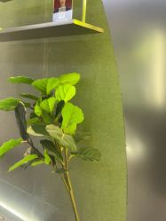 -不迫先生专业男士剪发