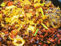 老板恋上鱼-老板恋上鱼(恒隆广场店)