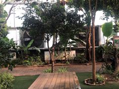 -呀路古热带植物园