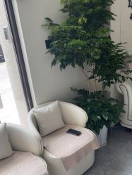 -海涛医疗美容·面部抗衰·注射美鼻