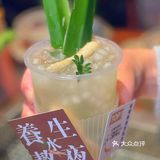 成都首列♨️长春🚄成都列车烤肉氛围感绝了