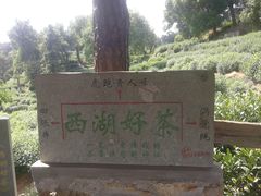-杭州少年儿童公园