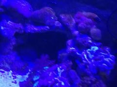 -嘉兴海底世界