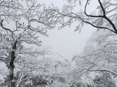 -萍乡武功山风景名胜区