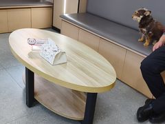 -瑞派伍一宠物医院·眼科·骨科·猫科转诊中心(马王堆院)