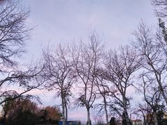 -黄村公园