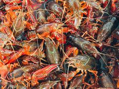 -三个渔夫·蒸汽海鲜(小白楼店)