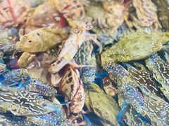 -四川人郑霞海鲜