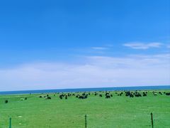 -青海湖国家重点风景名胜区