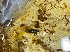 -西北印象佳宴(兴华街中段店)