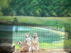 -北京野生动物园