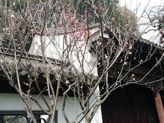 -汇龙潭