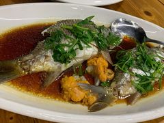 西江剧鲫-八仔大富楼·河鲜(西江店)