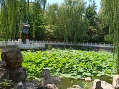 -北京积水潭医院-停车场