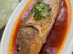 -春满园生态餐厅(南宫路店)