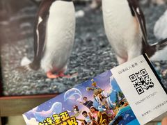 -大连圣亚海洋世界
