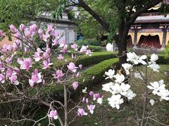 -天龙八部武侠城