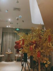 -海茱雅科技健康美容