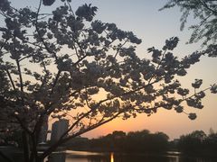 -新江湾城公园