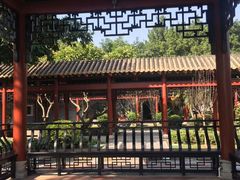 -顺峰山公园