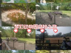 -大连森林动物园