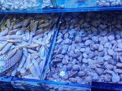 -渔民船说·北塘海鲜·天津菜·海肠捞饭(北塘古镇店)
