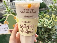 -猫的魔法密林(衣裳街店)