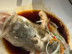 -古南都·老广东酒楼(龙江店)