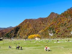 -狮子沟牧场