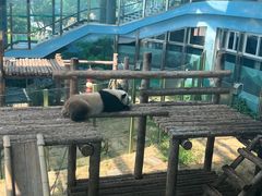 -大连森林动物园