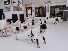 -极真空手道修远道场