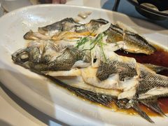 -老山东·山东菜(鲁菜名店)