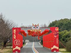 -同里国家湿地公园