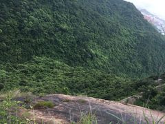 -老虎沟生态农场