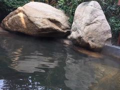-西安国际创新人才交流中心•药浴温泉