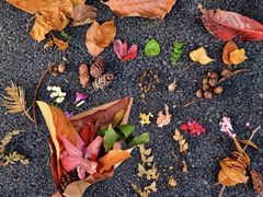 -国家植物园(地铁站)