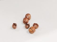 -陈记栗子(长宁路店)