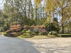 -徐家汇源景区-衡山公园