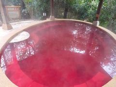 -天目湖涵田半山温泉