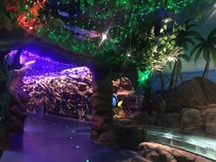 -芜湖新华联大白鲸海洋公园